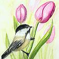 Chickadee