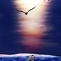 Moonlit fishing